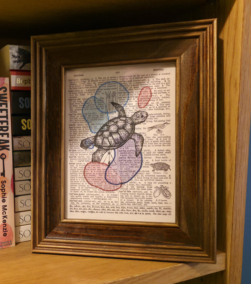 A5 Print - Turtle