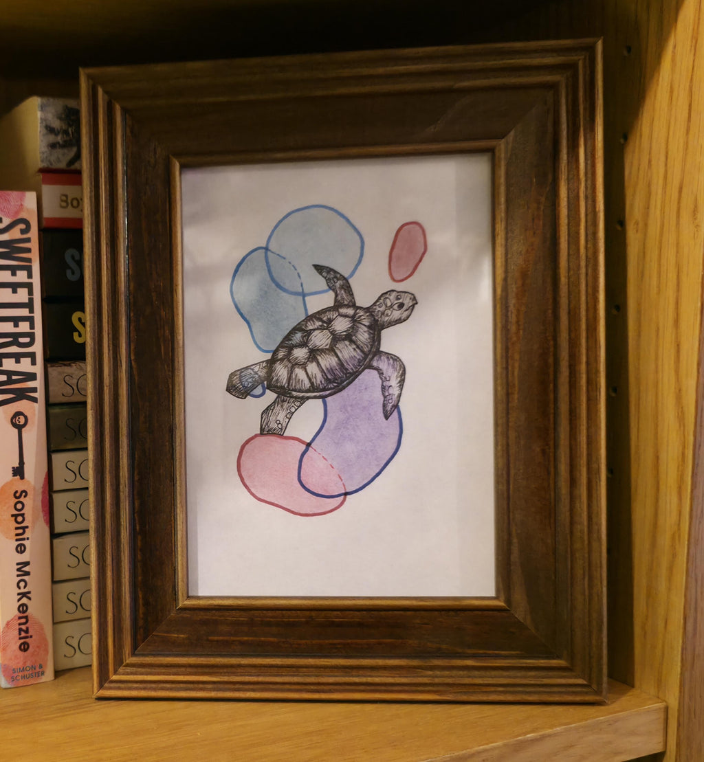 A5 Print - Turtle